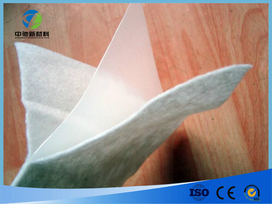 复合土工膜（两布一膜）