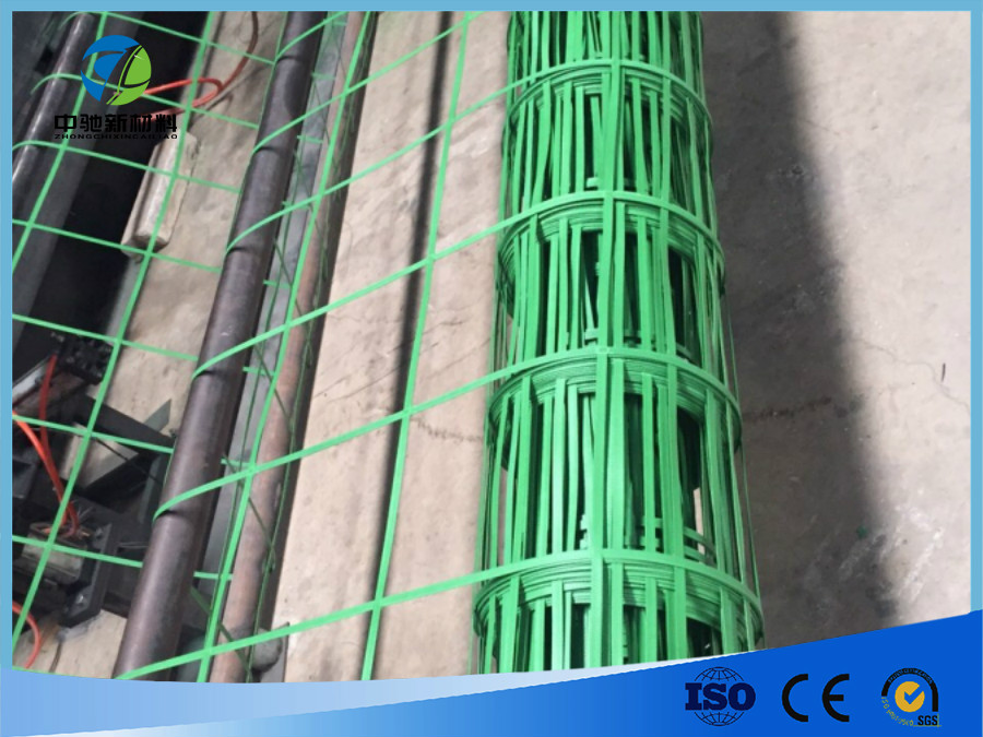 高速公路 绿色攀爬网