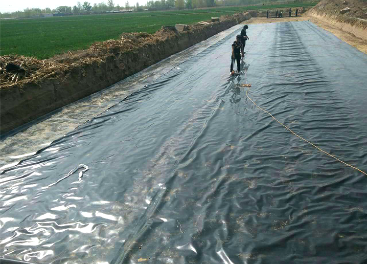 鱼塘养殖防渗膜生产厂家