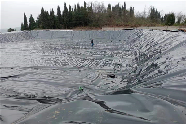 土工膜施工现场