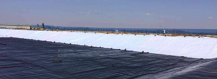 鱼塘养殖防渗膜施工案例