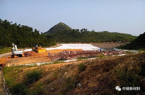 ed9f1e27c738c9a2a84747c74924fb26