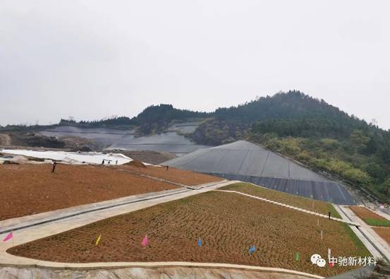 d11494d3d0f30e91cfd049aa8e872603