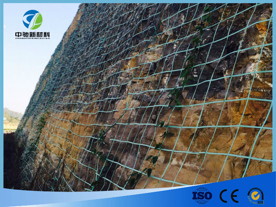 油麻藤绿色爬藤网