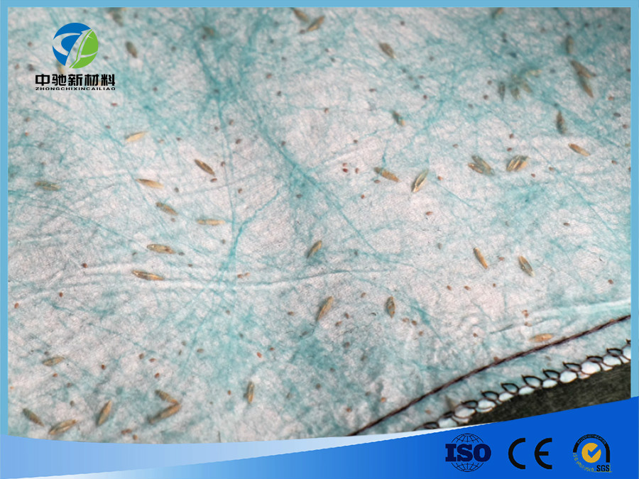 生态袋（带草籽）