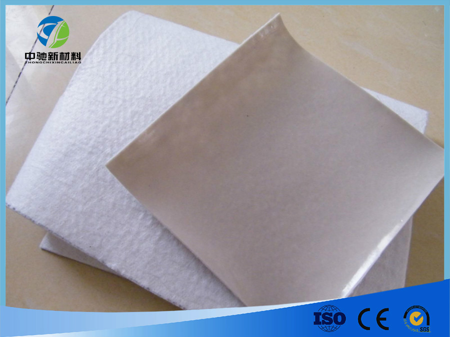 复合土工膜 （一布一膜）